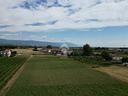 ter-agricolo-a-sandrigo