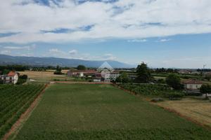 TER. AGRICOLO A SANDRIGO