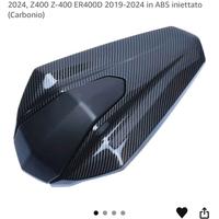 Unghia monoposto Kawasaki