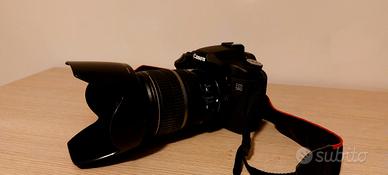 Canon 50D 17 55 f2.8