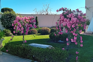 Posto auto 500 metri aeroporto Pisa