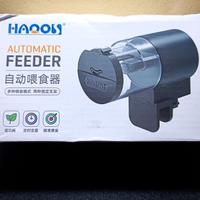 Mangiatoia automatica per acquario