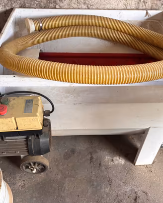 Diraspatrice Elettrica per Uva