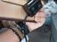 Immagine 4