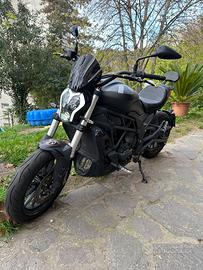 Benelli 502C – 2022