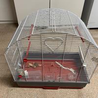 Gabbia per piccoli uccelli (cocorite)