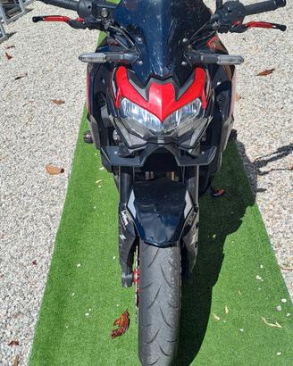 z 900 2024