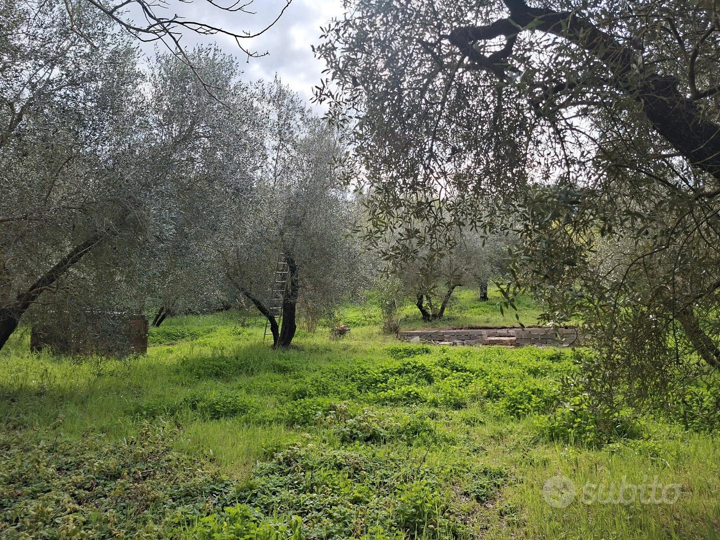Terreno agricolo - Vista 2