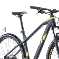 Mtb E-bike harssray