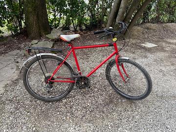 Mountain Bike d