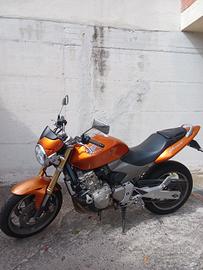 Honda hornet