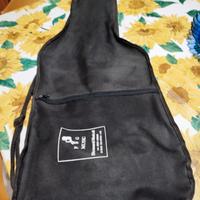 chitarra elettrica Roytek series con amplificatore