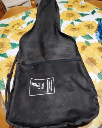 chitarra elettrica Roytek series con amplificatore