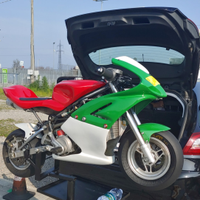 Minimoto ZPF 206 pronto gara