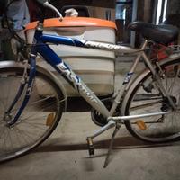 bicicletta uomo Easy time Firenze