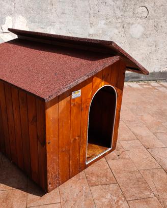 cuccia x cane