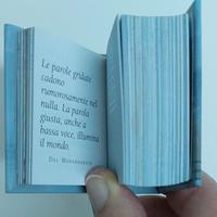 Libro in miniatura (minilibro)