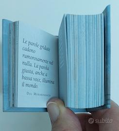 Libro in miniatura (minilibro)
