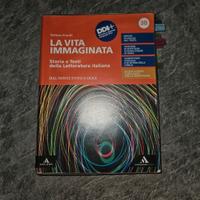 libro italiano la vita immaginata
