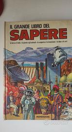 IL GRANDE LIBRO DEL SAPERE 