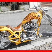 Altro Altro modello - 2005