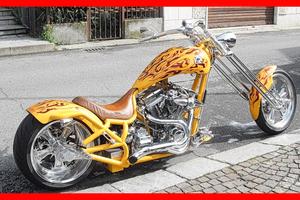 Altro Altro modello - 2005