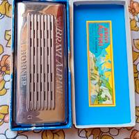 ARMONICA  HOHNER  BRAVI ALPINI 