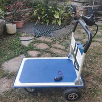 Carrello elettrico telecomandato 2 WD