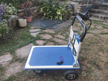 Carrello elettrico telecomandato 2 WD