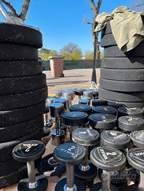 Dischi e Manubri da Palestra