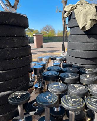 Dischi e Manubri da Palestra