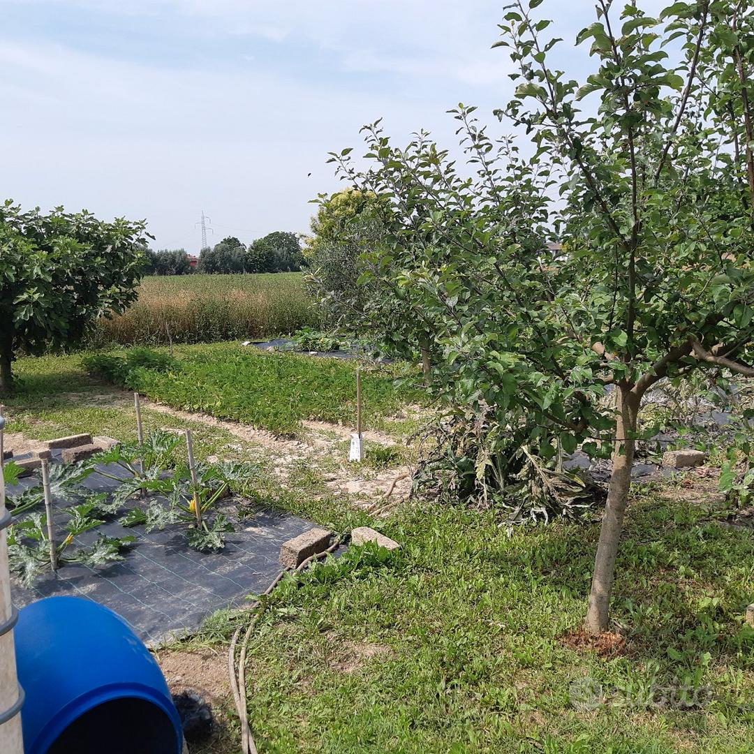 Terreno agricolo - Vista 3