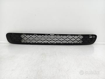 Griglia paraurti anteriore griglia radiatore mini