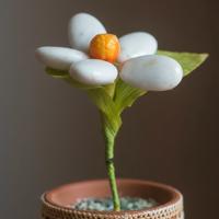 Vaso Terracotta & Fiore Porcellana