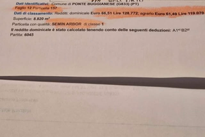 Terreno agricolo coltivabile