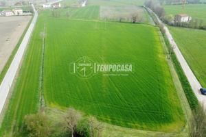 Terreno per coltivazione biologica