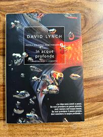 In acque profonde David Lynch