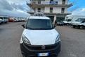 Fiat doblo'