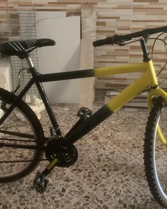 Bicicletta montain bike