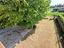 Immagine 28