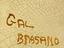 Immagine 6