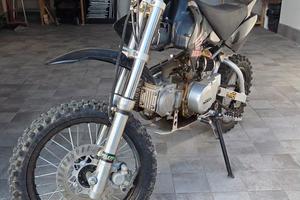 Pit Bike / Mini Cross

grafiche HONDA