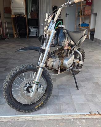 Pit Bike / Mini Cross

grafiche HONDA