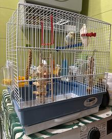 Gabbia Ferplast Rekord 2