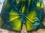 Immagine 3