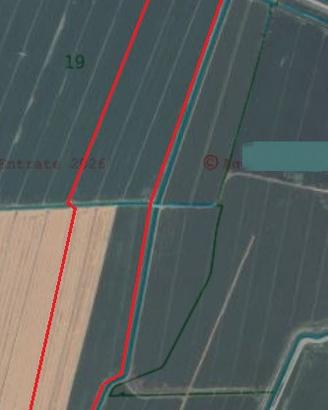Terreno Agricolo
