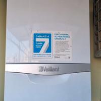 Caldaia Vaillant vmi 346/5-5 r4