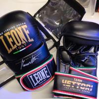 GUANTI MMA THE ITALIAN DREAM