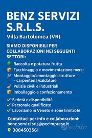 Disponibilità per collaborazione lavorativa