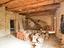 Immagine 14